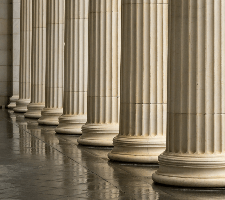 Avotus Government Business Solutions 